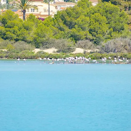 Larimar - Plusholidays * Ifach